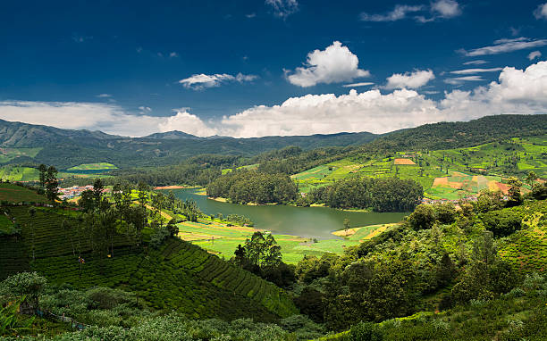 ooty